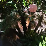 Quarantavasi Bed & Breakfast