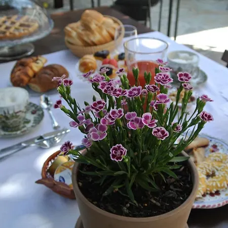 Bed & Breakfast Quarantavasi 4*